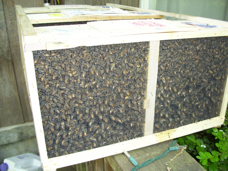 PkgBees-Wichita-Salina-Junction City-Topeka-St.Joe-KCMO-DeSoto - Image 2