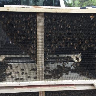 PkgBees-Wichita-Salina-Junction City-Topeka-KCMO-DeSoto